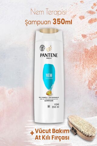 Pantene Şampuan Pro-V Nem Terapisi 350 ml ve Vücut Bakım At Kılı Fırçası