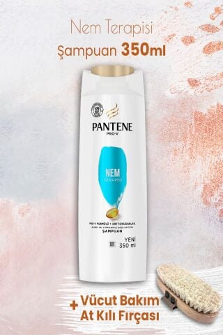 Pantene Şampuan Pro-V Nem Terapisi 350 ml ve Vücut Bakım At Kılı Fırçası