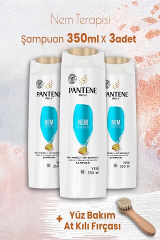 Pantene Şampuan Pro-V Nem Terapisi 350 ml x 3 Adet ve Yüz Bakım At Kılı Fırçası