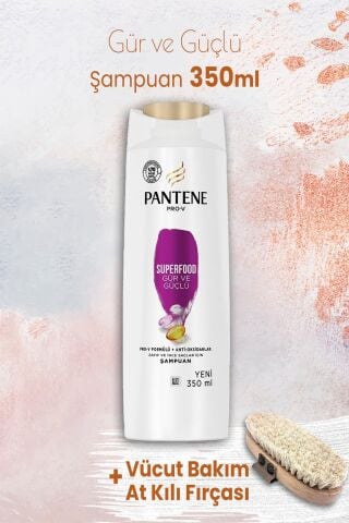Pantene Şampuan Pro-V Superfood Gür ve Güçlü 350 ml ve Vücut Bakım At Kılı Fırçası