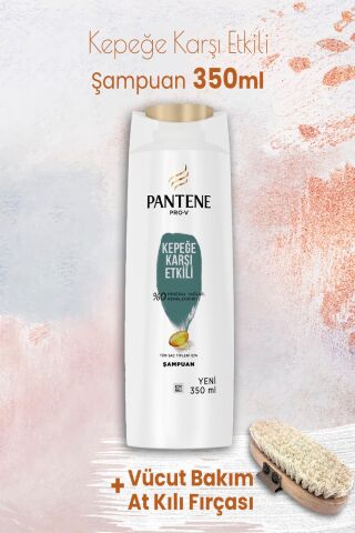 Pantene Şampuan Pro-V Kepeğe Karşı 350 ml ve Vücut Bakım At Kılı Fırçası
