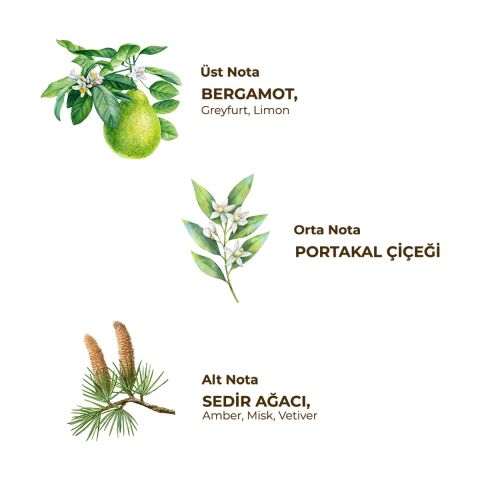 Eyüp Sabri Tuncer 250 ml Tıraş Kolonyası No:3