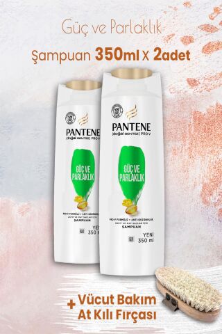 Pantene Şampuan Pro-V Güç ve Parlaklık 350 ml x 2 Adet ve Vücut Bakım At Kılı Fırçası