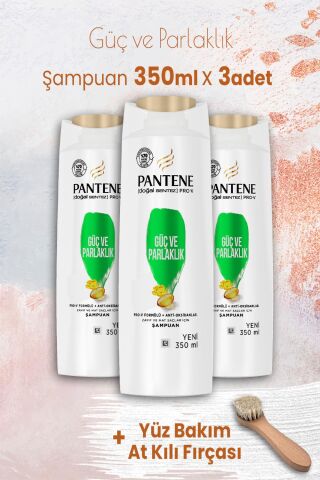 Pantene Şampuan Pro-V Güç ve Parlaklık 350 ml x 3 Adet ve Yüz Bakım At Kılı Fırçası