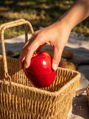 Kare Hasır 2 Kulplu Çok Amaçlı Sepet