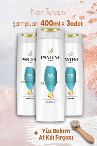 Pantene Pro-V Şampuan Nem Terapisi 400 ml x 3 Adet ve Yüz Bakım At Kılı Fırçası