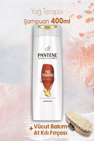 Pantene Pro-V Şampuan Yağ Terapisi 400 ml ve Vücut Bakım At Kılı Fırçası