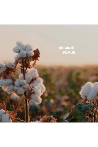 İpek 70'li Makyaj Pamuğu x4