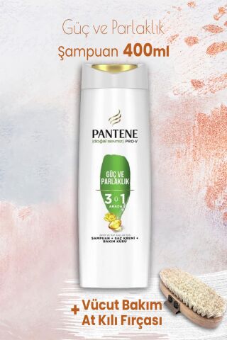 Pantene Pro-V Güç Parlaklık 3' ü 1 Arada Şampuan 400 ml ve Vücut Bakım At Kılı Fırçası