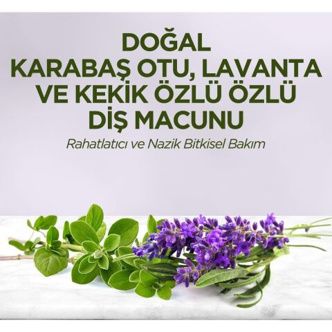 Doğal Karabaş Otu, Lavanta ve Kekik Özlü Diş Macunu 90 ml