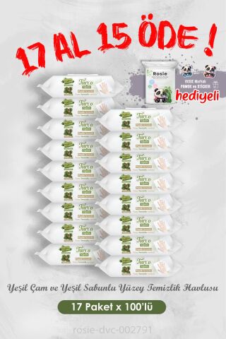 17 Al 15 Öde Yeşil Çam ve Sabunlu Yüzey Temizlik Havlusu 100'lü ve Rosie