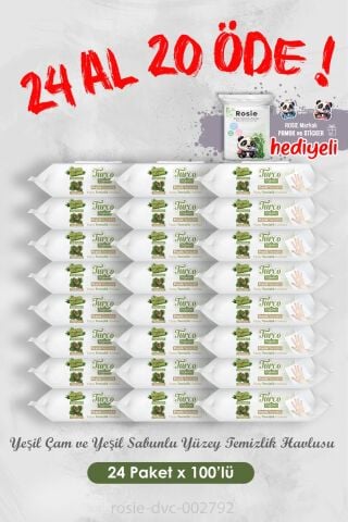 24 Al 20 Öde Yeşil Çam ve Sabunlu Yüzey Temizlik Havlusu 100'lü ve Rosie