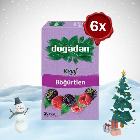 Doğadan Yılbaşı Paketi Böğürtlenli Karışık Meyve Çayı x 6