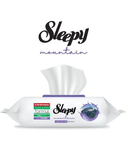 Sleepy Yüzey Temizleme Havlusu Dağ Esintisi - Mountain 100'lü