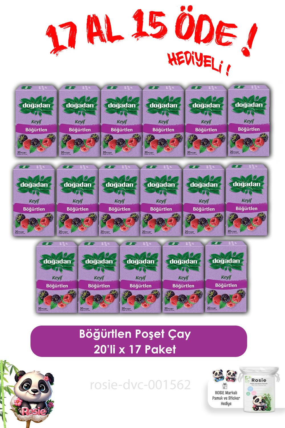 Doğadan 17 AL 15 ÖDE Böğürtlenli Karışık Meyve Çayı ve ROSIE