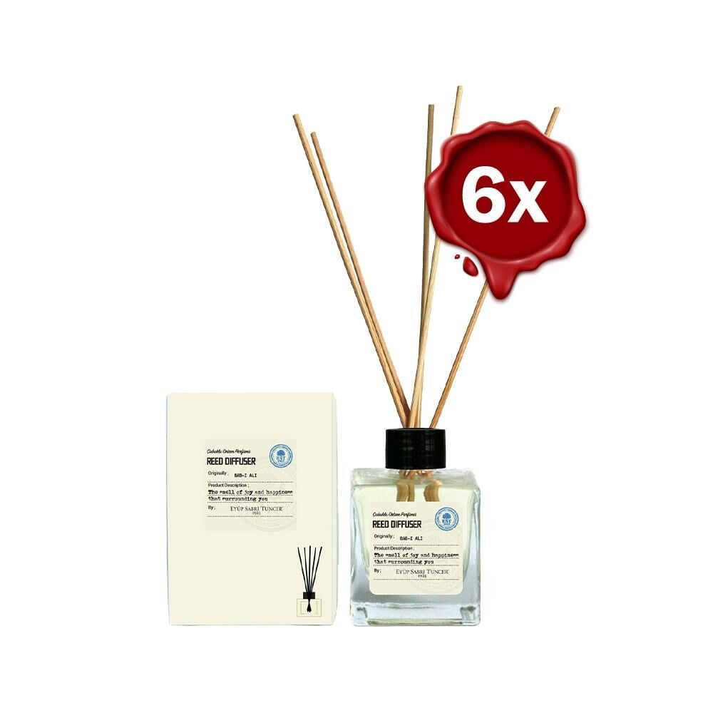 Eyüp Sabri Tuncer Bab-ı Ali Çubuklu Oda Kokusu 100 ml x 6