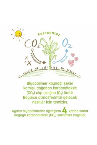 Bio Natural Islak Havlu 12x40 (480 Yaprak)