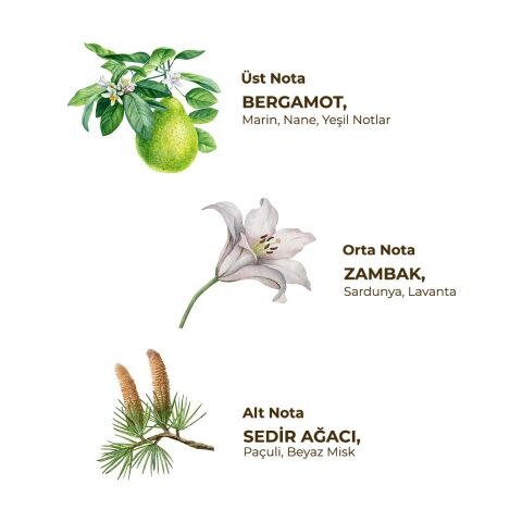 Eyüp Sabri Tuncer 250 ml Tıraş Kolonyası No:1