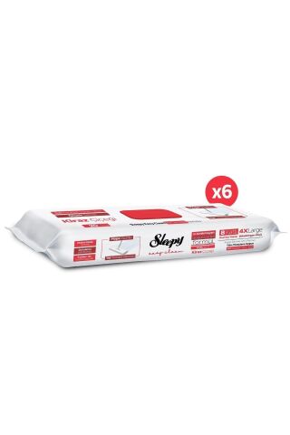 Sleepy Easy Clean Kiraz Çiçeği Mopa Uyumlu Yer Temizlik Havlusu 6X20 (120 Yaprak)