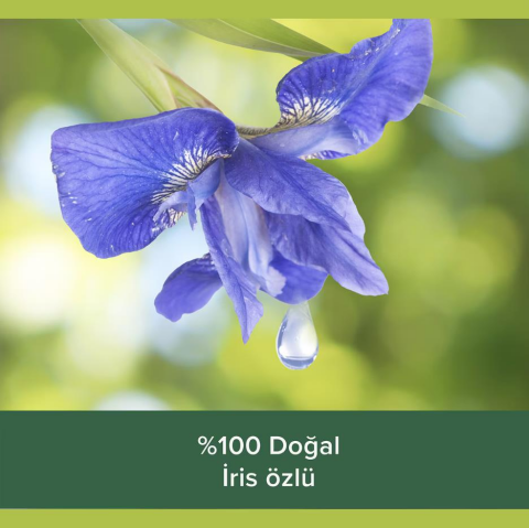 Palmolive Duş Jeli Aroma Sensations Serisi 3'lü 500 ml ve Rosie Hediye