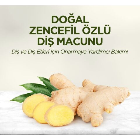 Doğal Zencefil Özlü Diş Macunu 90 ml