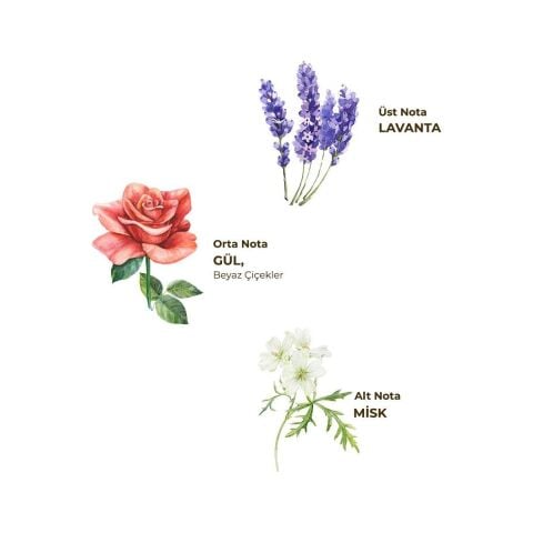 Eyüp Sabri Tuncer Lavanta Kolonyası 400 ml - Pet Şişe