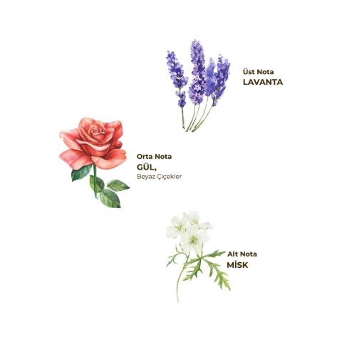 Eyüp Sabri Tuncer Lavanta Kolonyası 400 ml - Pet Şişe