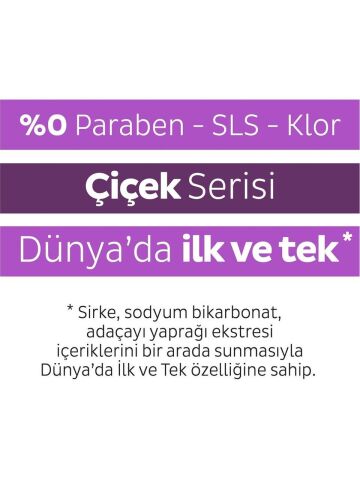 Sleepy Easy Clean Orkide Bahçesi Yüzey Temizlik Havlusu 100' lü