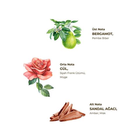 Manolya Çiçeği Kolonyası 400 ml - Pet Şişe