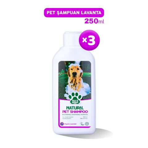 Pet's Green Şampuan Lavanta Pet's 250 ml x 3