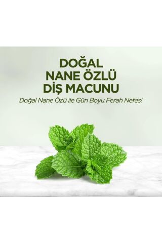 Eyüp Sabri Tuncer Diş Macunu Nane Özlü ve Bambu Karbon