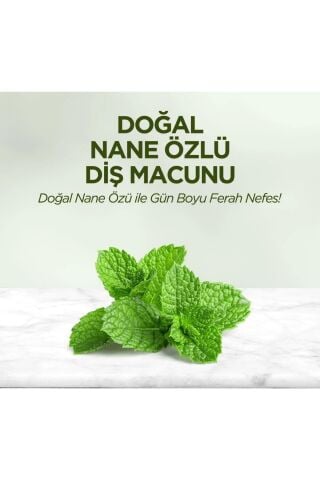 Eyüp Sabri Tuncer Diş Macunu Nane Özlü 90 ml x 3