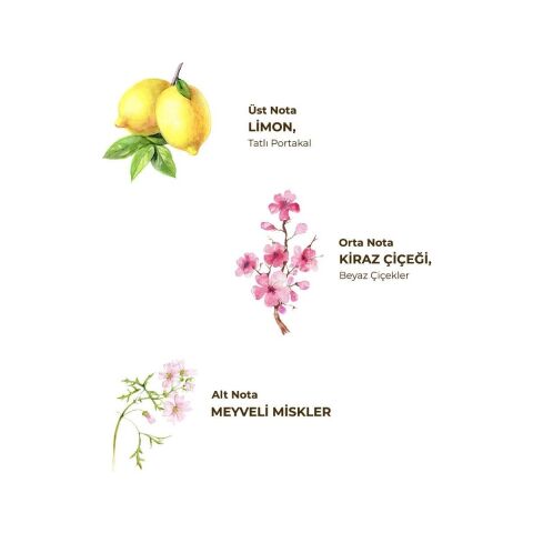 Eyüp Sabri Tuncer Japon Kiraz Çiçeği Kolonyası 400 ml - Cam Şişe