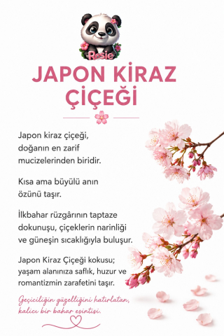 Selsil Buzdolabı Beyazı (400 ml x 2 adet) Akrilik Sprey Boya, ROSIE oda kokusu