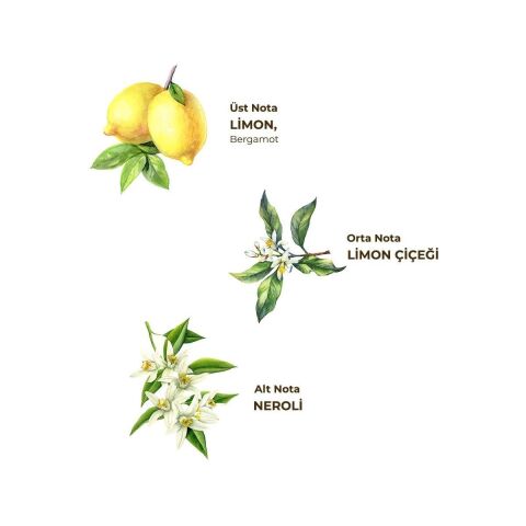 Eyüp Sabri Tuncer Klasik Limon Kolonyası 1 Lt - Koruma Kilitli Kapak