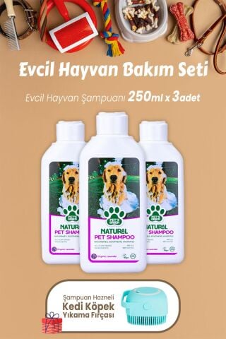 Pet's Green Şampuan Lavanta Pet's 250 ml x 3 Adet ve Kedi Köpek Yıkama Fırçası