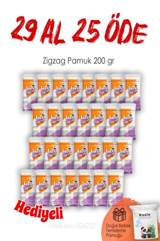 29 AL 25 ÖDE Lux Zigzag Pamuk 200 gr ve ROSIE