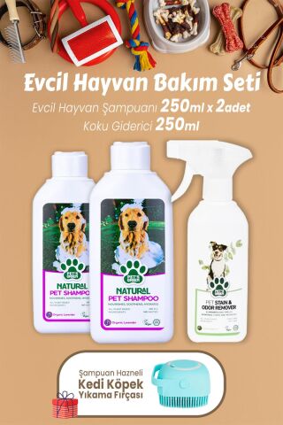 Pet's Green Şampuan Lavanta Pet's 250 ml x 2 Adet, Koku Giderici ve Kedi Köpek Şampuan Fırçası