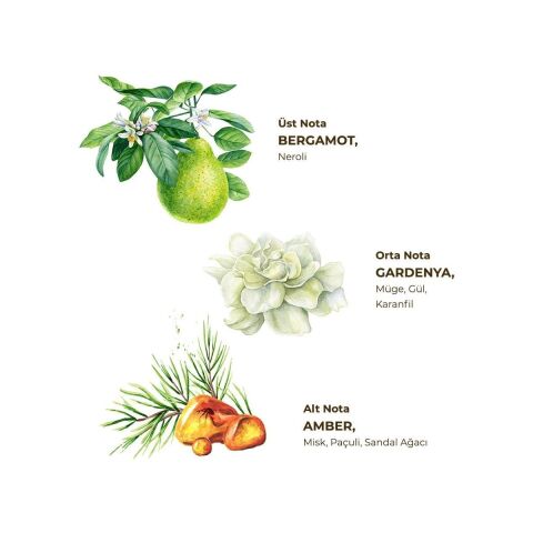 Gardenya Kolonyası 5 lt - Bag in Box