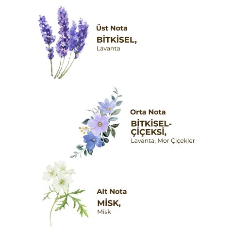 Alaçatı Lavender Çubuklu Oda Kokusu 50 ml