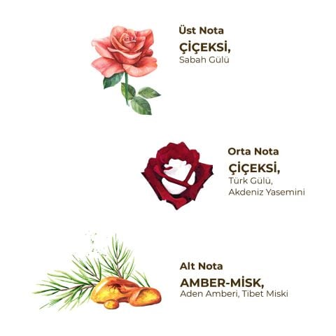 Millions Of Roses 150 ml Eau De Cologne - Cam Şişe