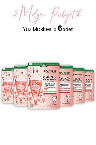 Garnier 2 Milyon Probiyotik Onarıcı Kağıt Yüz Maskesi 22 gr x 6 Adet