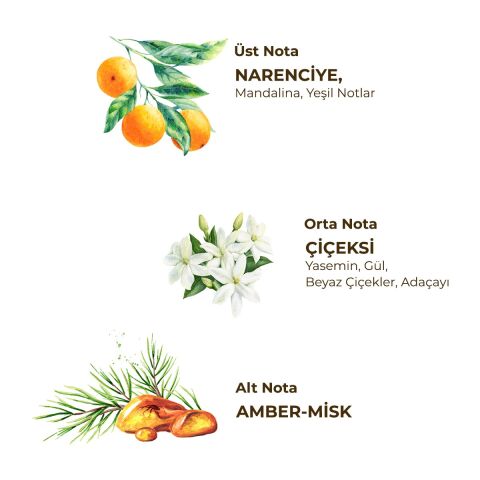 Galata Tower 150 ml Eau De Cologne - Cam Şişe