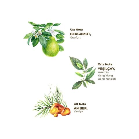 Beyaz Çay Kolonyası 200 ml - Cam Şişe