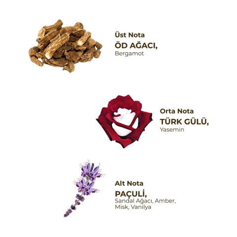 Indian Oud Kolonyası 185 ml - Cam Şişe