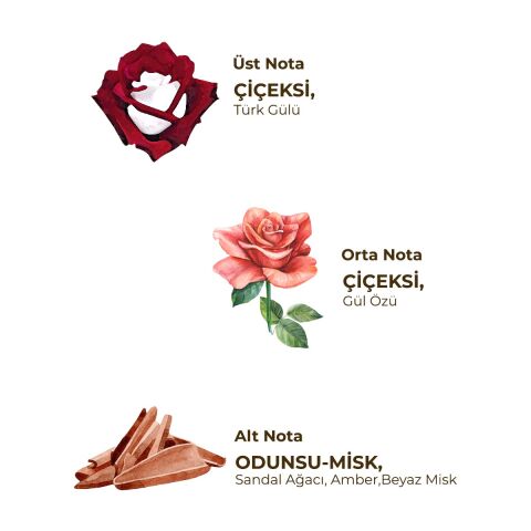 Eyüp Sultan 150 ml Eau De Cologne - Cam Şişe