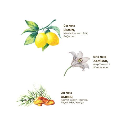 Yasemin Kolonyası 5 lt - Bag in Box