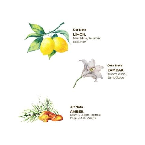 Yasemin Kolonyası 5 lt - Bag in Box