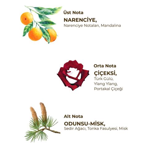 Maiden's Tower 150 ml Eau De Cologne - Cam Şişe