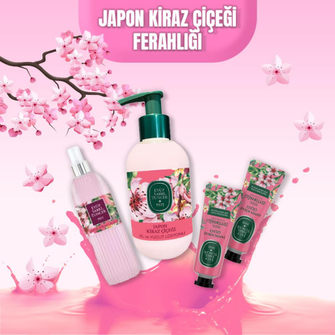 Eyüp Sabri Tuncer Japon Kiraz Çiçeği Bahar Paketi